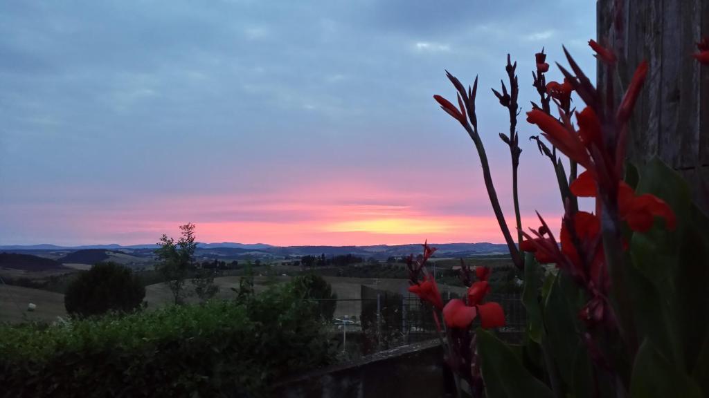 Agriturismo Marruchetone Vecchio Манчано Екстериор снимка